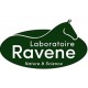 Ravene