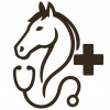 Vet for horse