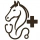 Vet for horse