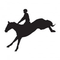 Наклейка на машину HKM Show Jumper