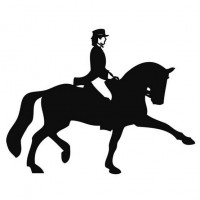 Наклейка на машину HKM Dressage Rider