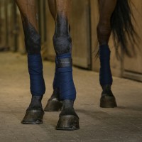 Бинты флисовые Ekkia EquiTheme