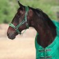 Недоуздок 1KM MIU Equestrian AirMax