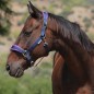 Недоуздок 1KM MIU Equestrian AirMax