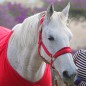 Недоуздок 1KM MIU Equestrian AirMax