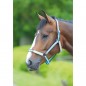 Недоуздок BridleWay BREAK FREE