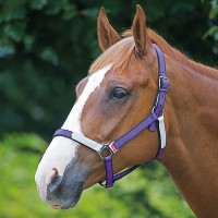 Недоуздок BridleWay BREAK FREE