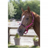 Недоуздок нейлоновый Ekkia SNAFFLE STRASS
