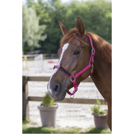 Недоуздок нейлоновый Ekkia SNAFFLE STRASS