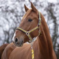 Недоуздок Ekkia EquiTheme LIGNE