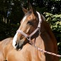 Недоуздок Ekkia EquiTheme LIGNE