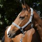Недоуздок Ekkia EquiTheme LIGNE
