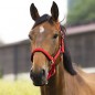 Недоуздок Ekkia EquiTheme AIR