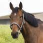 Недоуздок Ekkia EquiTheme AIR