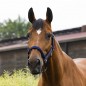 Недоуздок Ekkia EquiTheme AIR