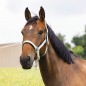 Недоуздок Ekkia EquiTheme AIR