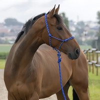 Недоуздок веревочный+чумбур Ekkia FLUO