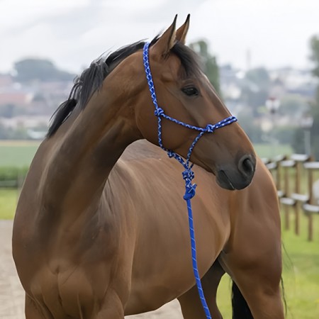 Недоуздок веревочный+чумбур Ekkia FLUO