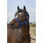Недоуздок Ekkia EquiTheme Nylon light