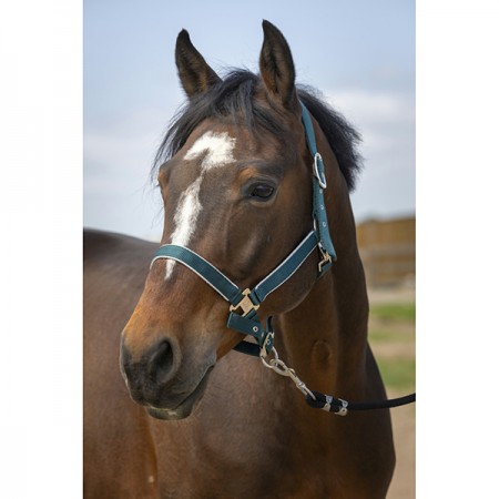 Недоуздок Ekkia EquiTheme Nylon light