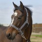 Недоуздок Ekkia EquiTheme Nylon light