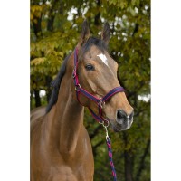 Недоуздок+чумбур Ekkia EquiTheme SATINE