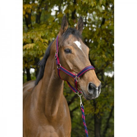 Недоуздок+чумбур Ekkia EquiTheme SATINE