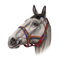 Недоуздок нейлоновый радужный TAYGA