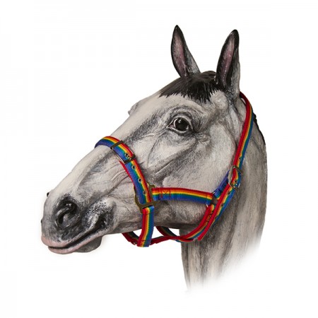 Недоуздок нейлоновый радужный TAYGA