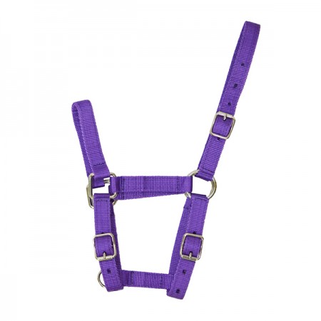 Недоуздок нейлоновый для жеребенка Economy