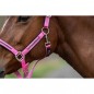 Набор недоуздок с чумбуром HKM Crystal