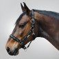 Недоуздок Little Horses WH