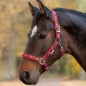 Недоуздок Little Horses WH