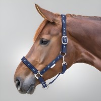 Недоуздок Little Horses WH