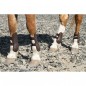 Ногавки стан Harry's Horse