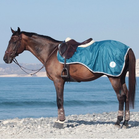 Полупопона дождевая летняя Dream Horses Seamaster