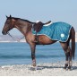 Полупопона дождевая летняя Dream Horses Seamaster