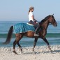 Полупопона дождевая летняя Dream Horses Seamaster