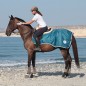 Полупопона дождевая летняя Dream Horses Seamaster