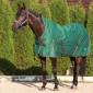 Попона денниковая на флисе DreamHorses Green Time