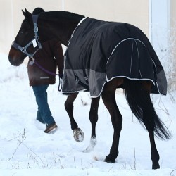 Зимняя попона с капором HORSE ONE Base Winter