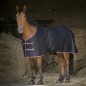 Попона денниковая EQUITHEME Brillante Попона денниковая EQUITHEME Brillante
