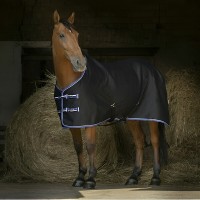 Попона денниковая EQUITHEME Brillante