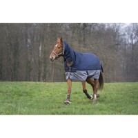 Попона зимняя прогулочная с капором Ekkia EquiTheme TYREX 600D, 350 гр