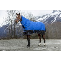 Попона зимняя с капором прогулочная Ekkia EquiTheme TYREX 1200D Aisan, 300 гр