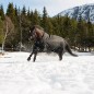 Попона зимняя прогулочная 1200D Horze NEVADA, 400г