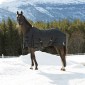 Попона зимняя денниковая Horze NEVADA, 400г