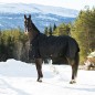 Попона прогулочная Horze NEVADA, 200г