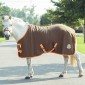 Попона флисовая KIDS' AND PONY