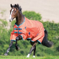 Прогулочная попона Shires HIGHLANDER ORIGINAL LITE